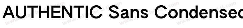 AUTHENTIC Sans Condensed 130字体转换